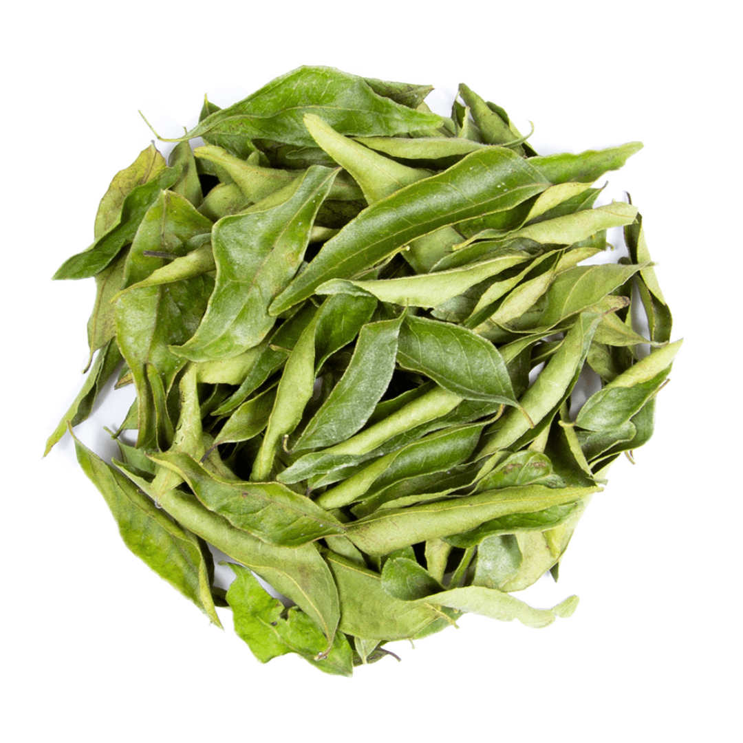 Wholesale Curry Leaves for Hair and Eating and Supplier – Dubai  